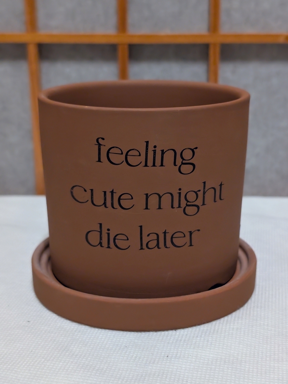 Funny Terracotta Plant Pot "Feeling Cute Might Die Later" 4" Planter Saucer